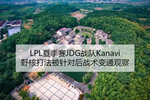 LPL夏季赛JDG战队Kanavi野核打法被针对后战术变通观察